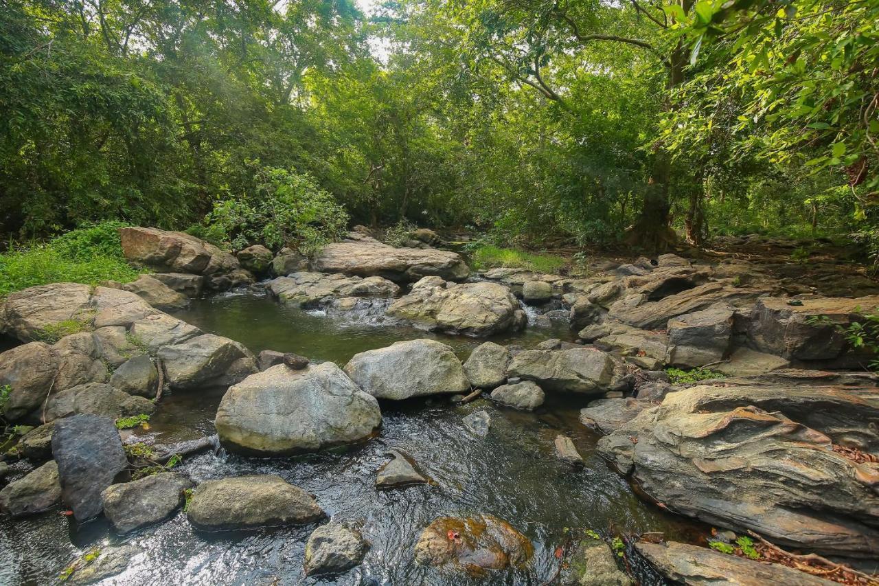 Yala River View Cabana Tissamaharama Exterior foto