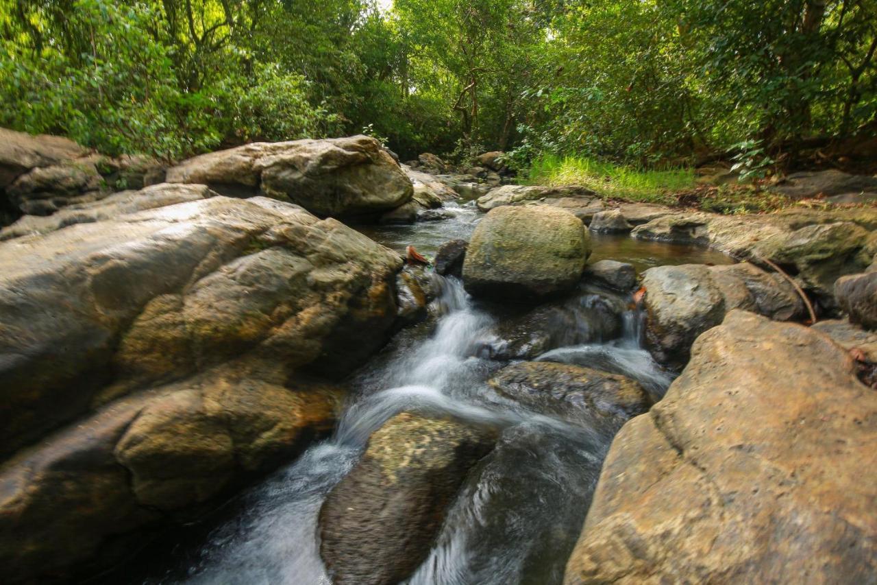 Yala River View Cabana Tissamaharama Exterior foto