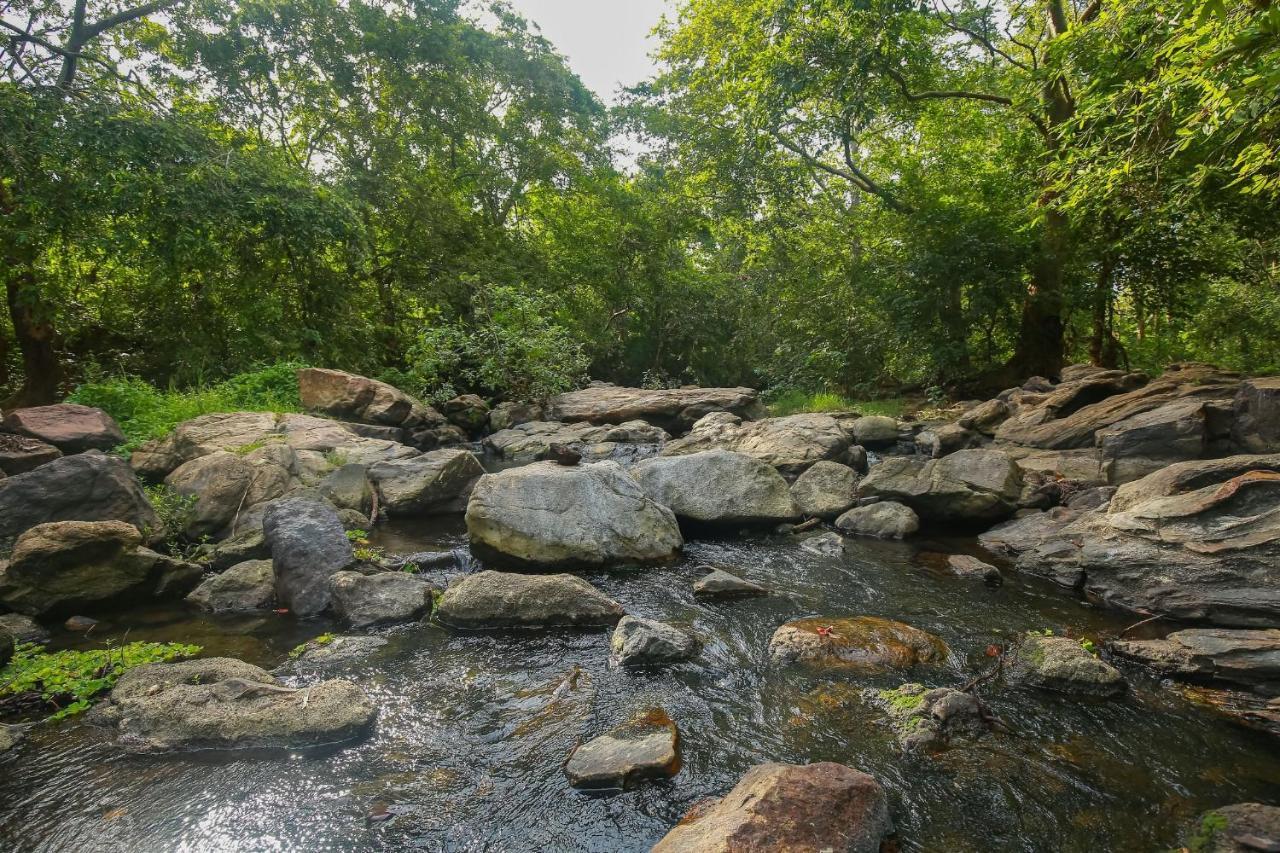 Yala River View Cabana Tissamaharama Exterior foto