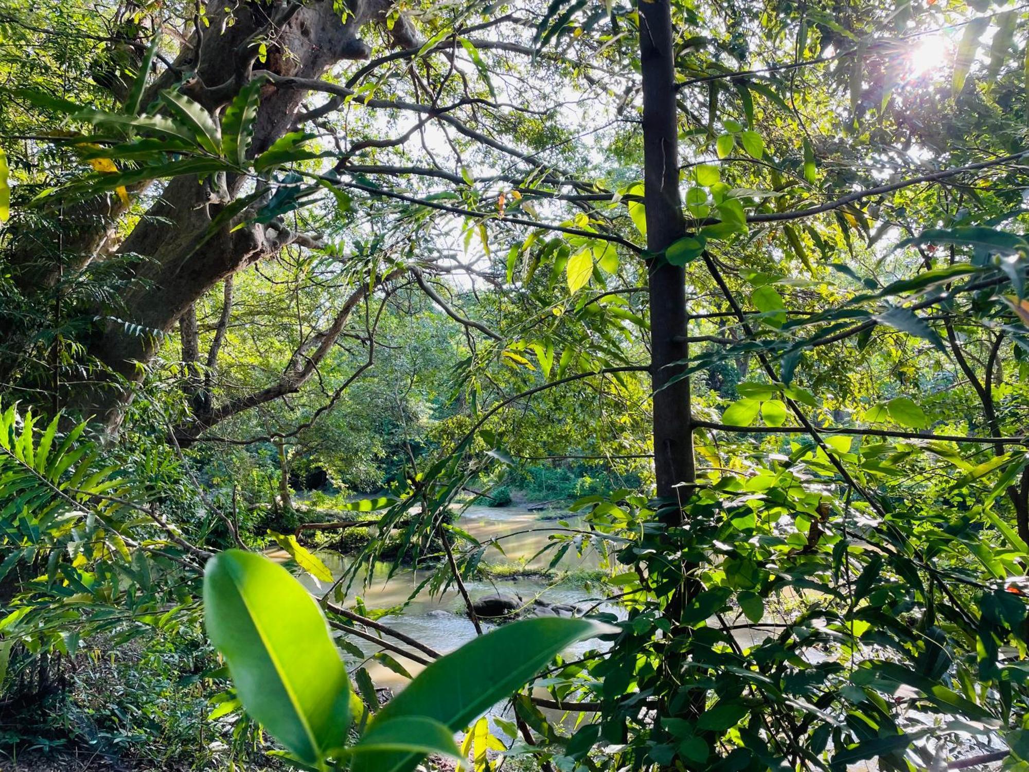 Yala River View Cabana Tissamaharama Exterior foto
