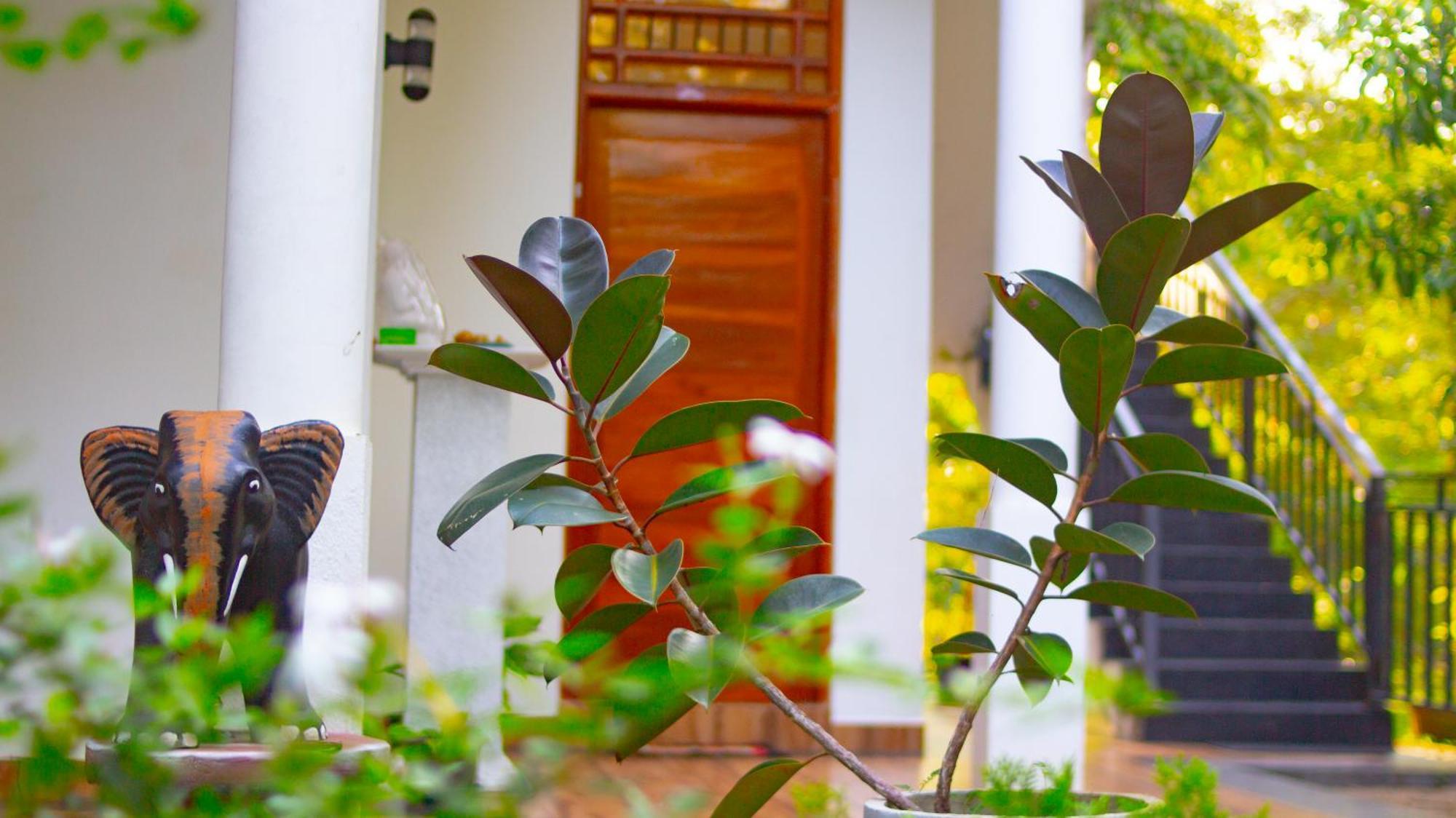 Yala River View Cabana Tissamaharama Exterior foto